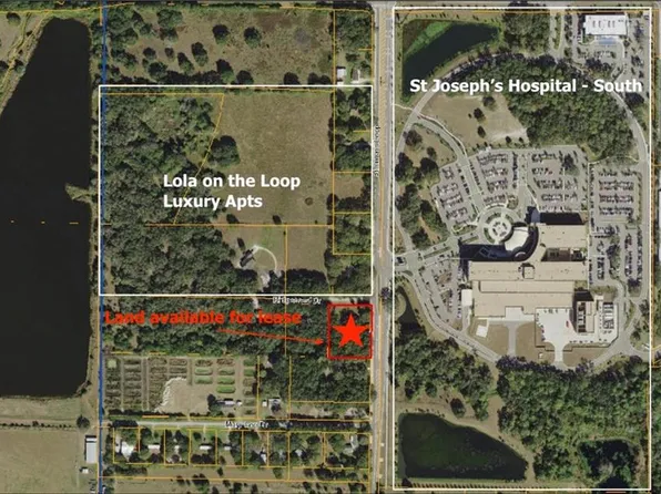 6816 Simmons Loop, Riverview, FL 33578