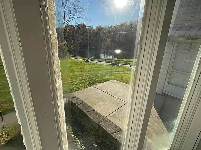 Up close view out your picture window