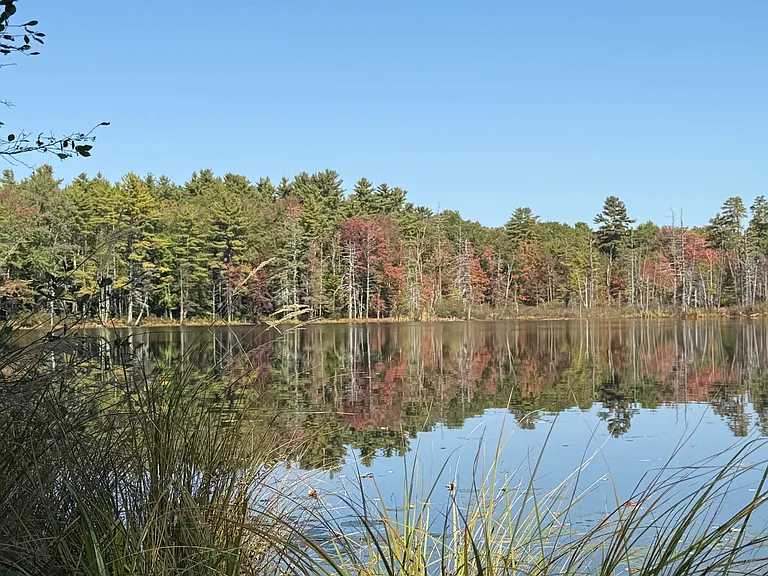 Anglers Point — Photo 29