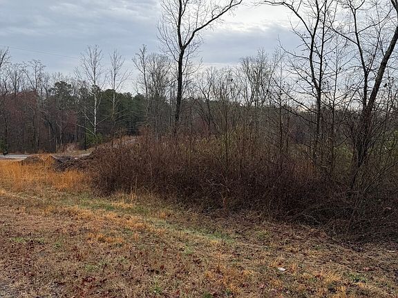 2nd image of 874 Forrester Cemetery Rd