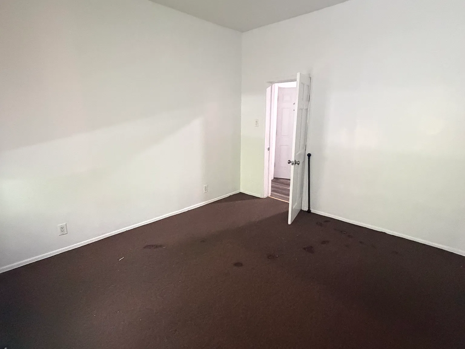 813 Freeman St — Photo 2