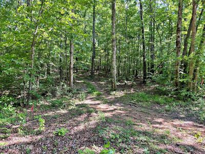 LOT 4 Raby Hollow Rd, Kingston, TN, 37763