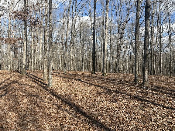 5th image of 0 Daniel Rd