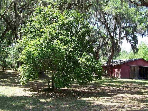 5th image of 501 Putnam County Blvd E