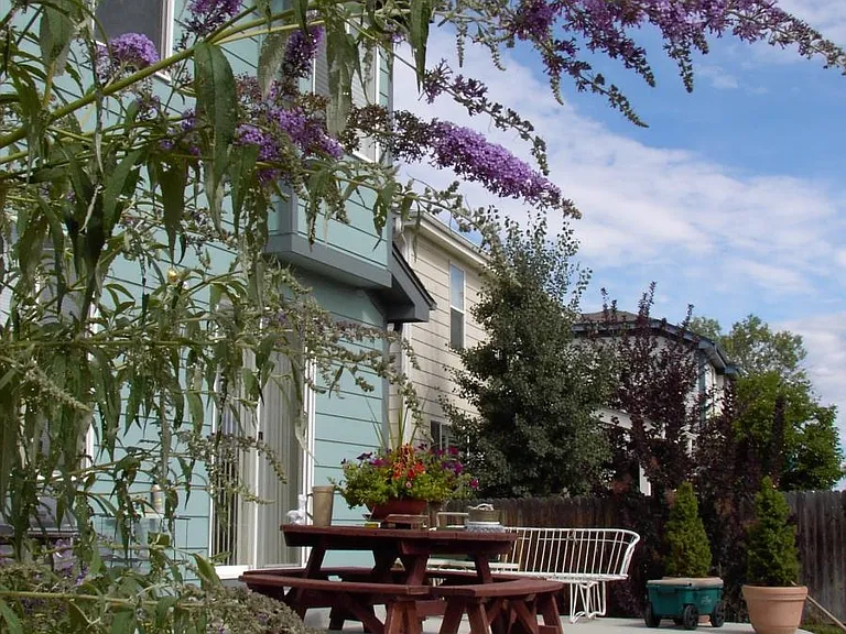 Entertain friends & family on Large Patio