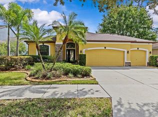 11008 Wembley Landing Dr, Lithia, FL 33547