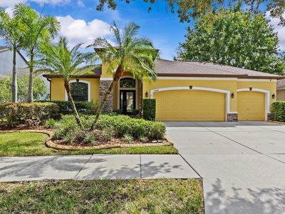 11008 Wembley Landing Dr, Lithia, FL, 33547