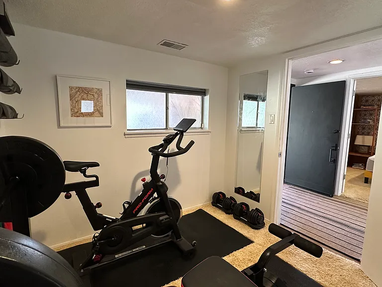 Lower level Gym with 1/2 bath with shower