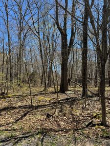 Wagner Way #130, Pocono Lake, PA, 18347