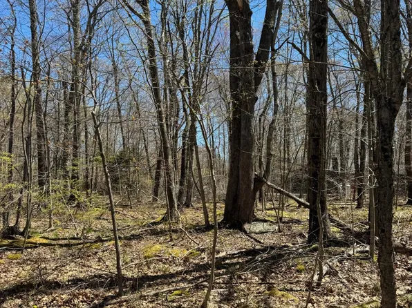 Wagner Way #130, Pocono Lake, PA 18347