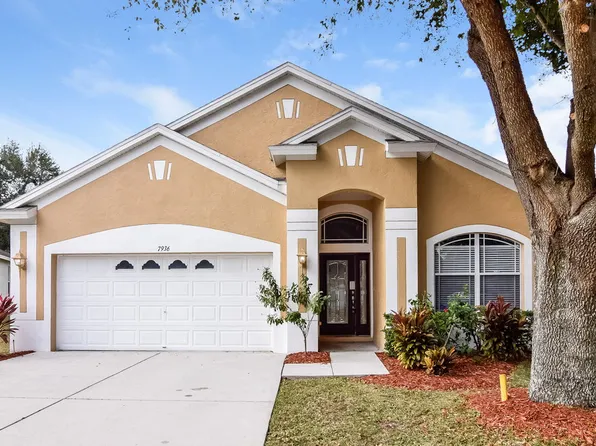 7936 Terrace Ridge Dr, Temple Terrace, FL 33637