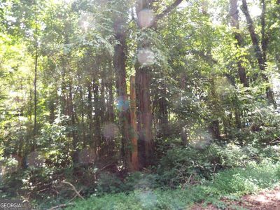 0 Swan Lake Rd Lot 4-E-4, Stockbridge, GA, 30281