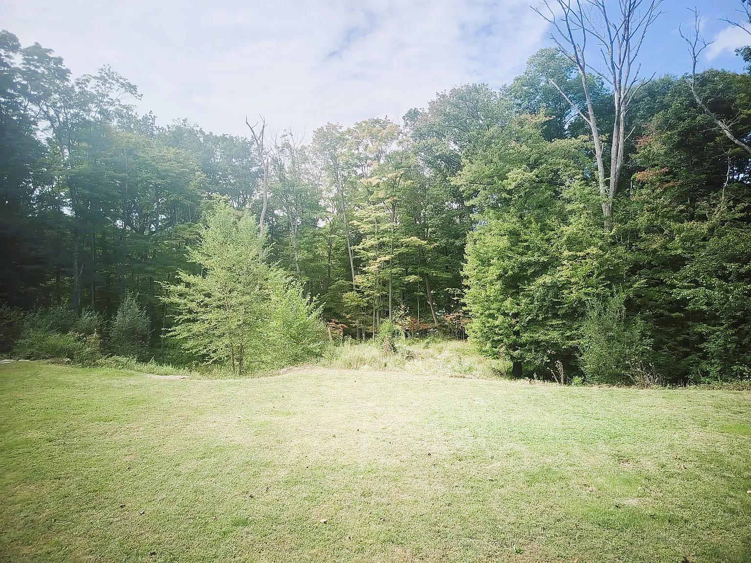 5 bed, 4500 sqft, $8,000 — Photo 4