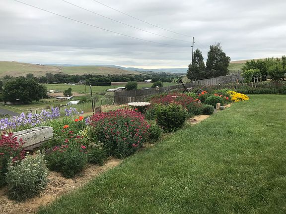 Gorgeous Hilltop View!