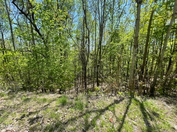Chimney Rock Rd, New Tazewell, TN 37825