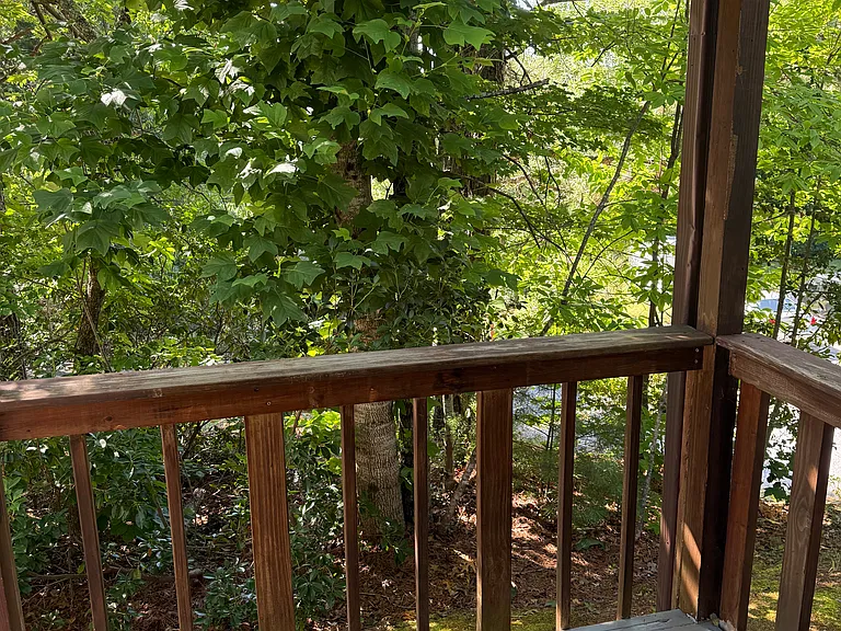 Squirrel Rdg — Photo 4