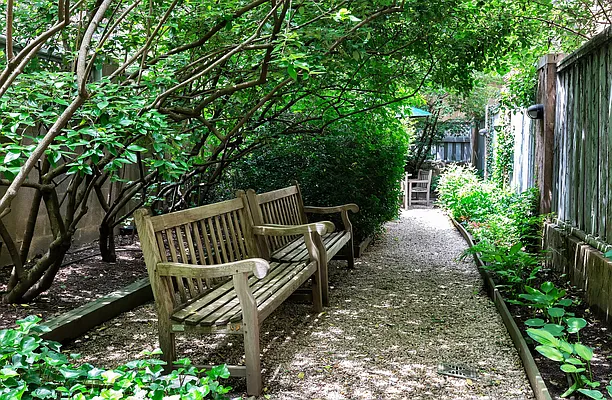 Rented by DejaView Residential Inc | media 11