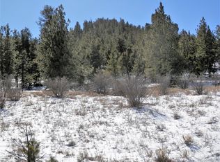 LOT 29 Chickadee Dr LOT 29, Hartsel, CO 80449