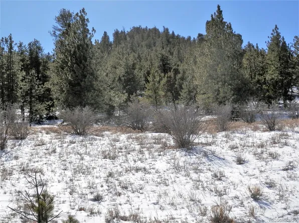 Lot 29 Chickadee Drive LOT 29, Hartsel, CO 80449