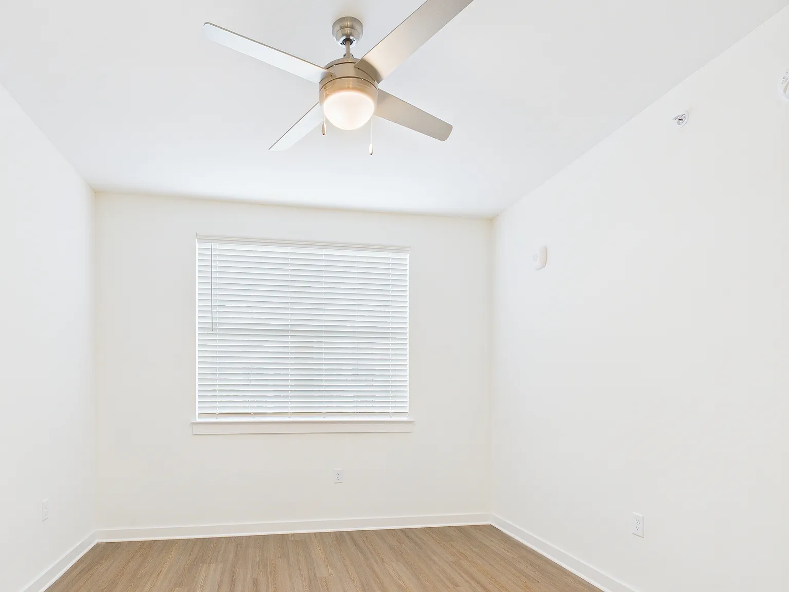 1 bed, 596 sqft, $1,399 — Photo 3