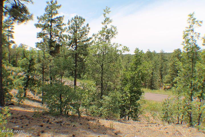 1st image of 7031 Leo Ln
