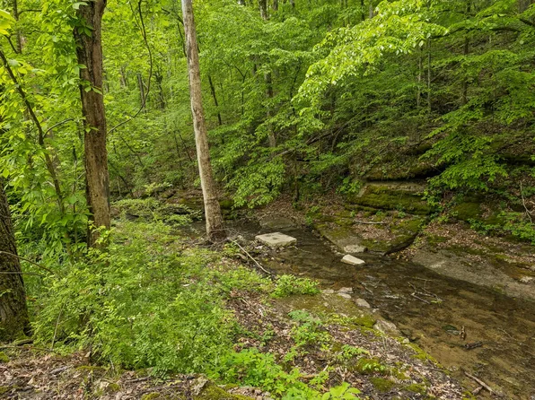 831 Defeated Creek Rd, Centerville, TN 37033