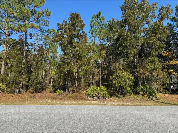 157 Daisy St Lot 25, Homosassa, FL 34446