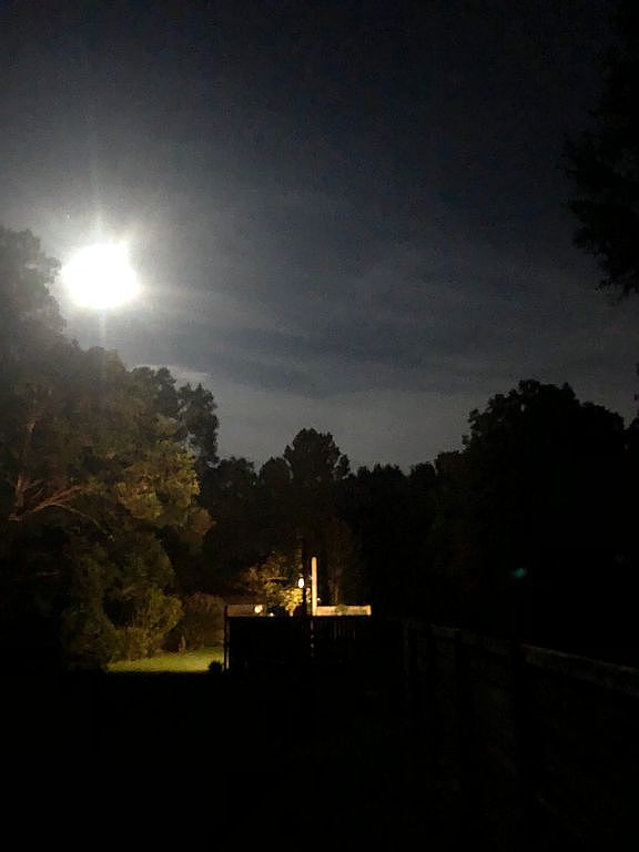 706 Beau Bassin Rd, Carencro, LA 70520 Zillow