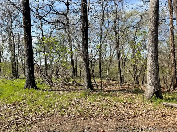 111 W Lakewood Dr, Park Hill, OK 74451