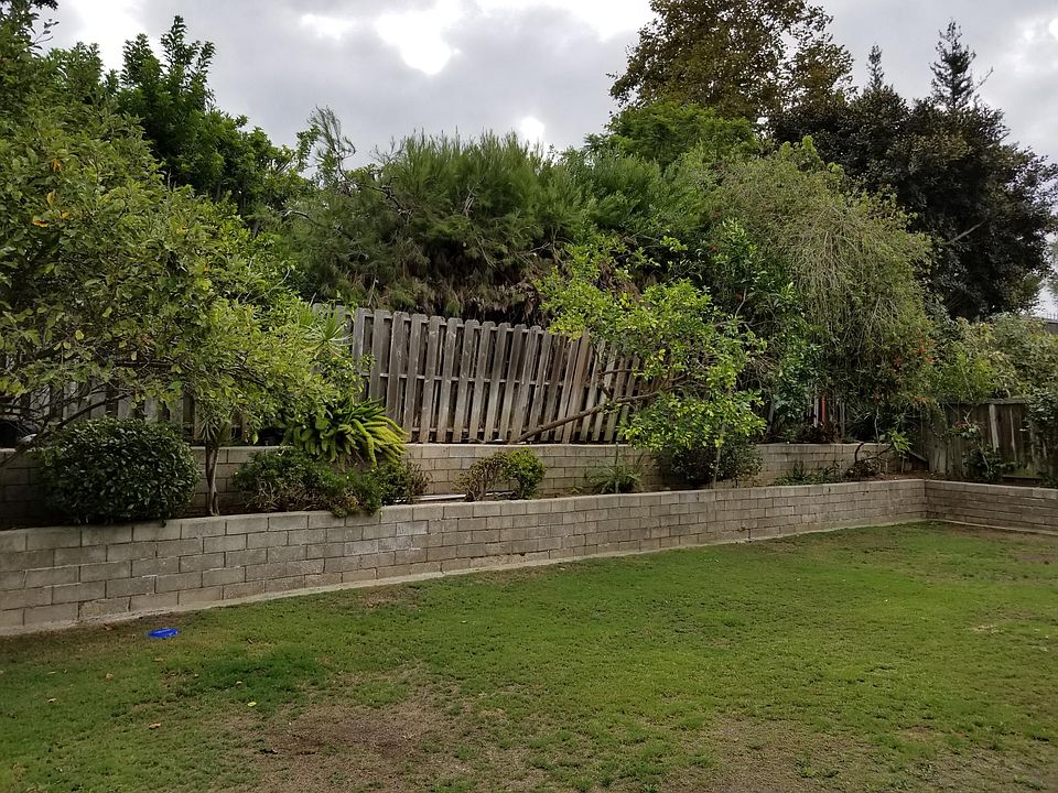 Back Yard with fruit trees.