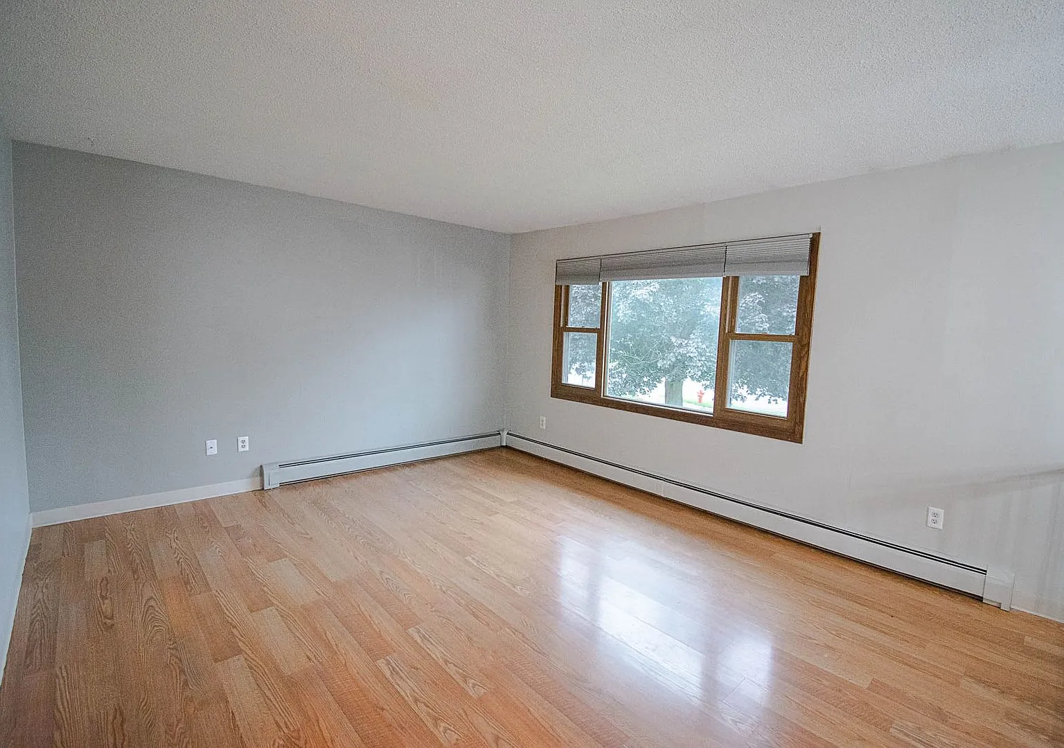 Beautiful Willow Heights 4br home on corner lot with fenced yard! — Photo 2