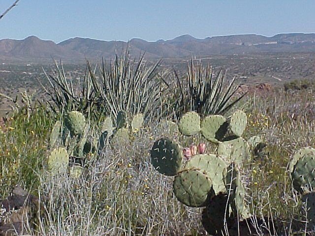 All pix taken in 2005