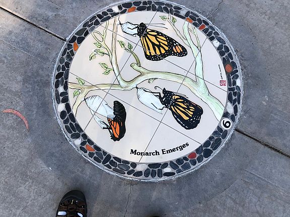 Butterfly Park 10 minutes