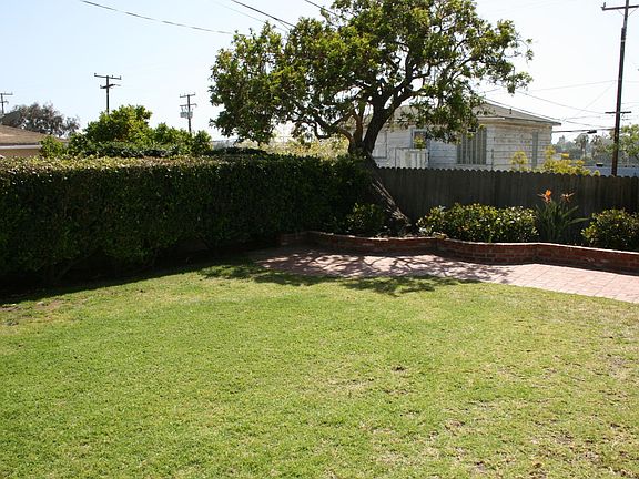 Sunny backyard