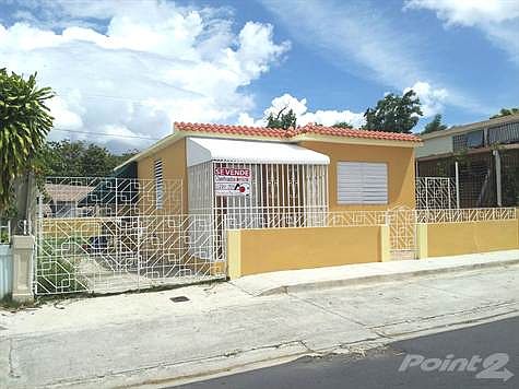 FRONT PINTADA