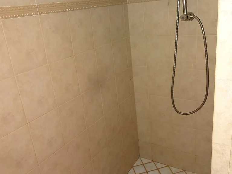 1230 Foliage Ct — Photo 12