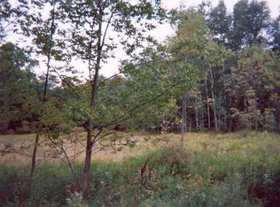 Steep Hill Rd, Beach Lake, PA 18405