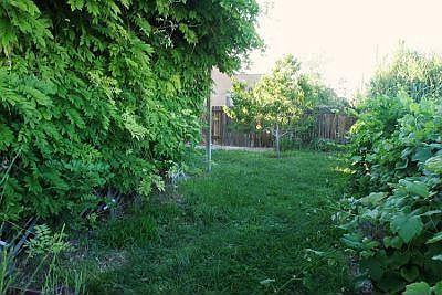 Lush, green, cool garden oasis. 