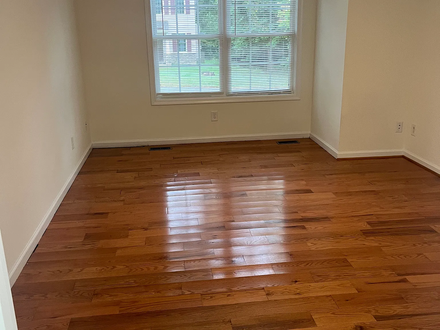 137 Indigo Dam Rd — Photo 4