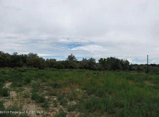 8 Road 5195, Bloomfield, NM 87413