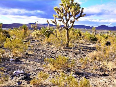 LOT 494 N Maywood Dr, Dolan Springs, AZ, 86441