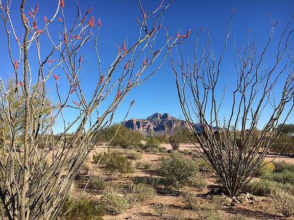 View of Superstition Mountains from front of home