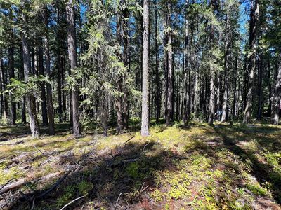 19 Noble Lane, Leavenworth, WA, 98826