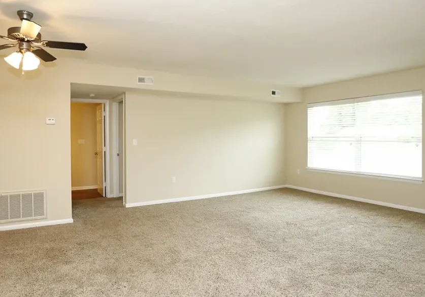 Honeytree Apartments — Photo 4