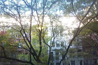 Rented by Susan Finkel, LREB