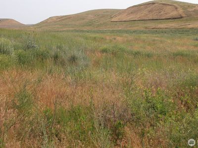 0 Allert Road, Washtucna, WA, 99371