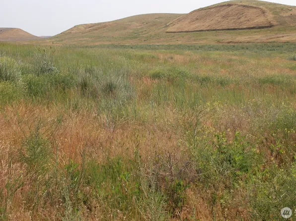 0 Allert Road, Washtucna, WA 99371