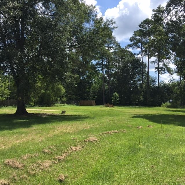 2nd image of 26730 Jennifer Ln