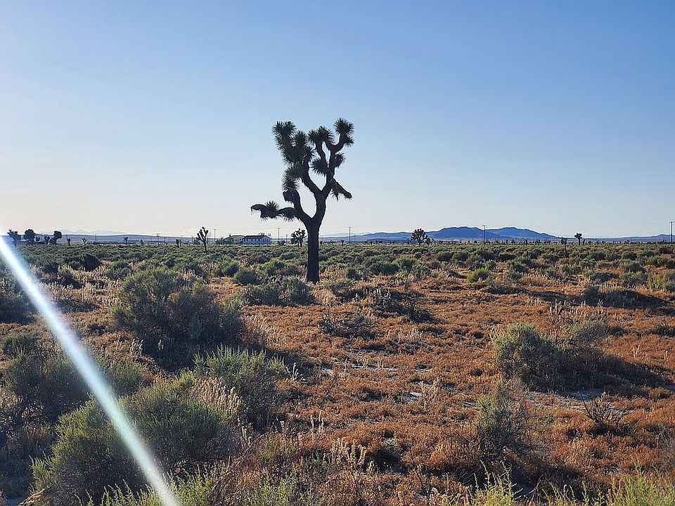 2nd image of El Mirage Rd