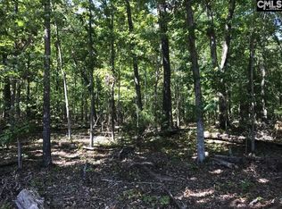 1348 Dreher Island Rd, Chapin, SC 29036